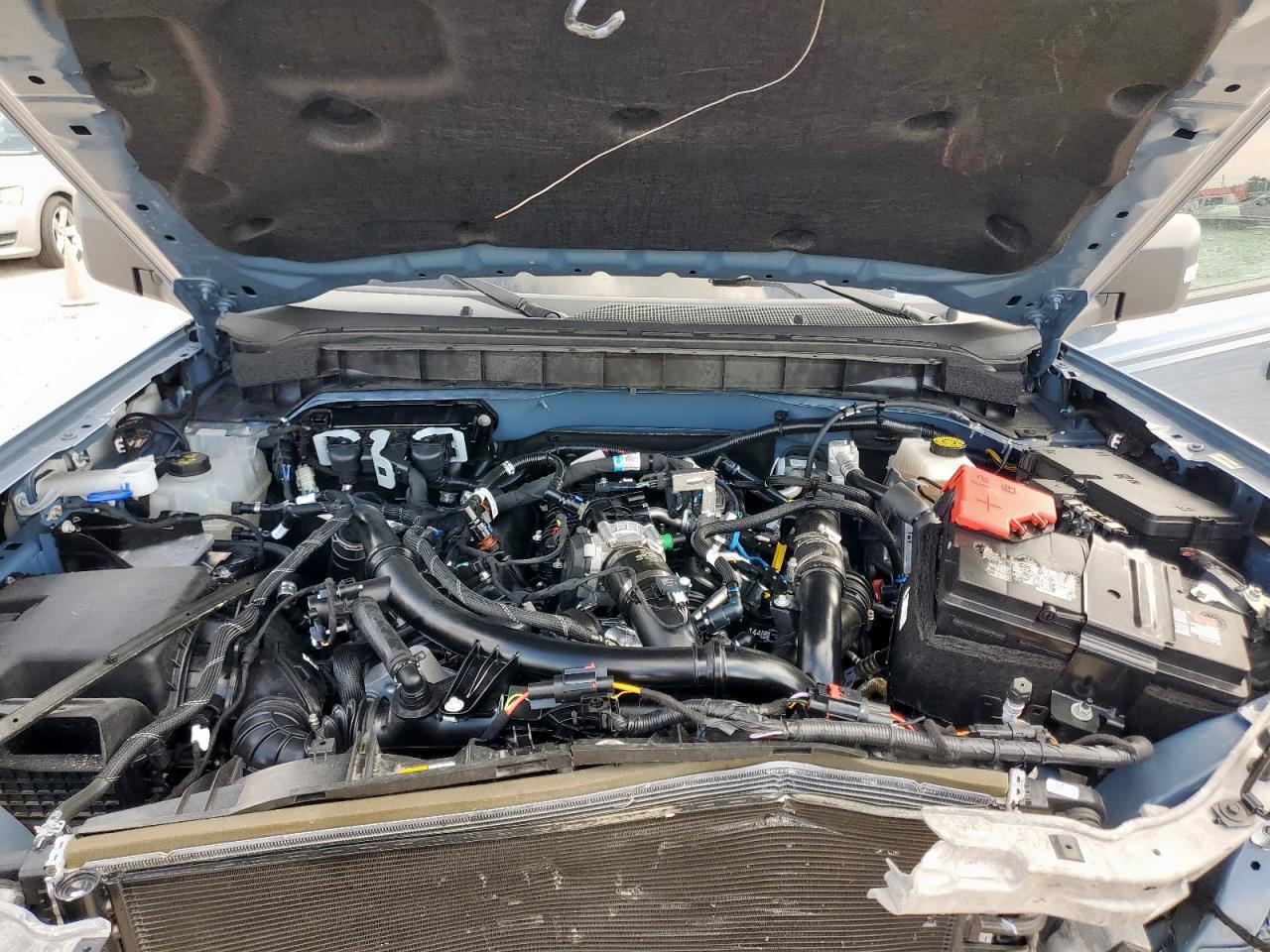 2024 Ford Bronco Wildtrak VIN: 1FMEE2BP4RLA21843 Lot: 86463475