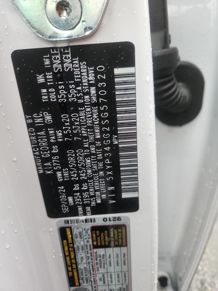 2025 Kia Telluride Ex VIN: 5XYP34GC2SG570320 Lot: 90302335