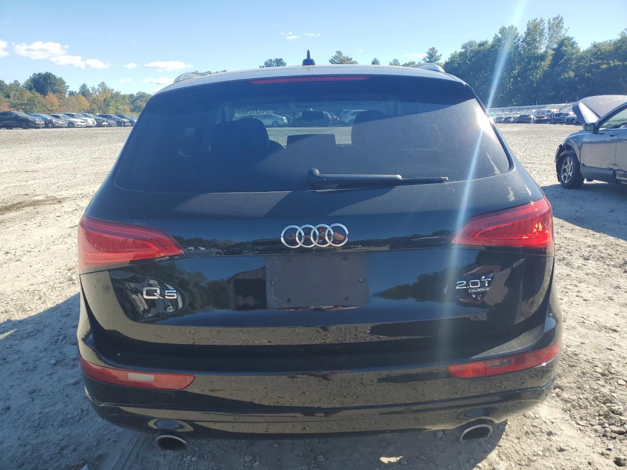 2014 Audi Q5 Premium Plus VIN: WA1LFAFP2EA003810 Lot: 84421265