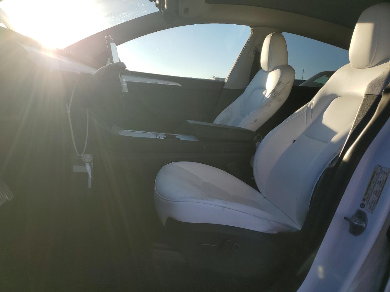 2023 Tesla Model Y VIN: 7SAYGDEF4PF964926 Lot: 84703235