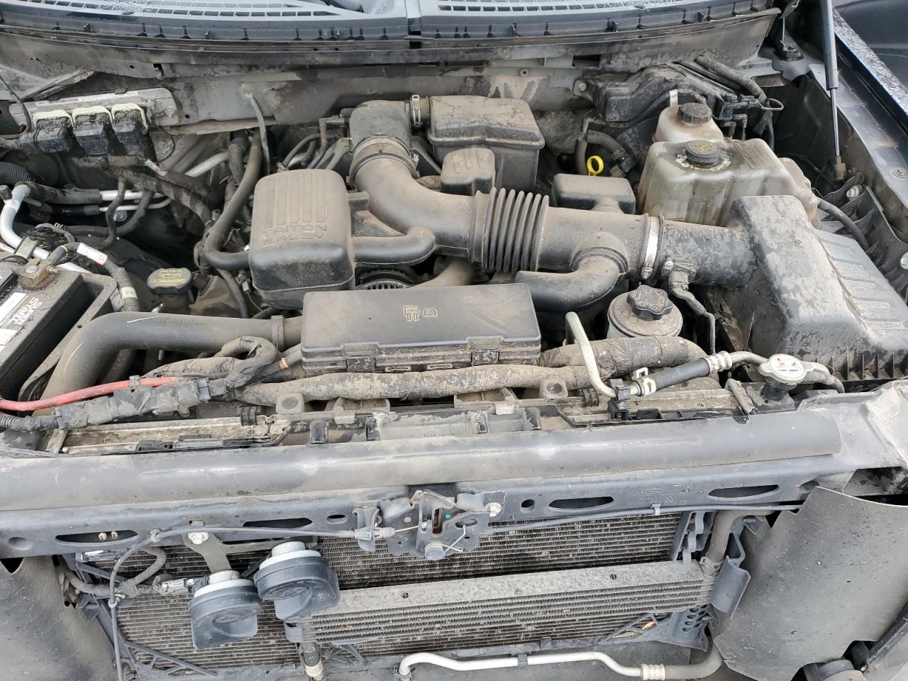 2010 Ford F150 Supercrew VIN: 1FTFW1EV4AFA13769 Lot: 87019665