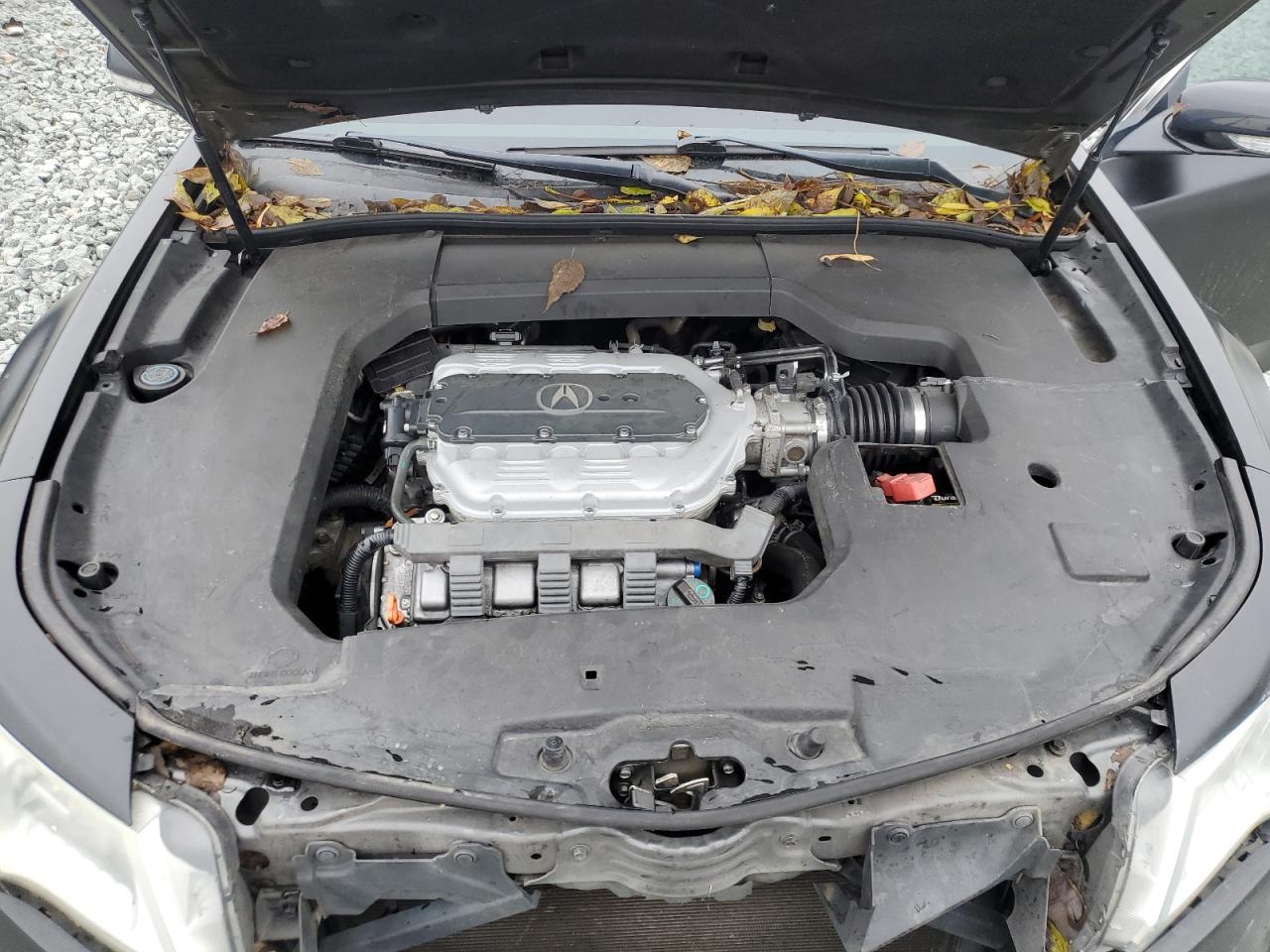 2009 Acura Tl VIN: 19UUA96569A003306 Lot: 90525515