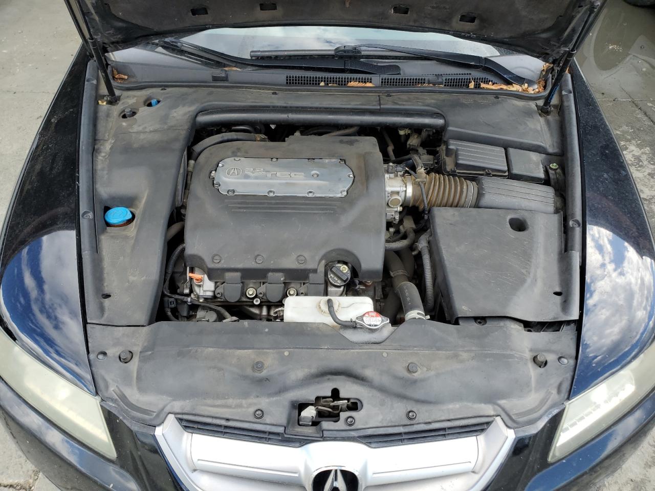 2006 Acura 3.2Tl VIN: 19UUA66236A009533 Lot: 82194155