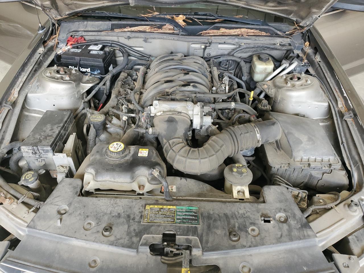 2005 Ford Mustang Gt VIN: 1ZVFT85H655257671 Lot: 82188385