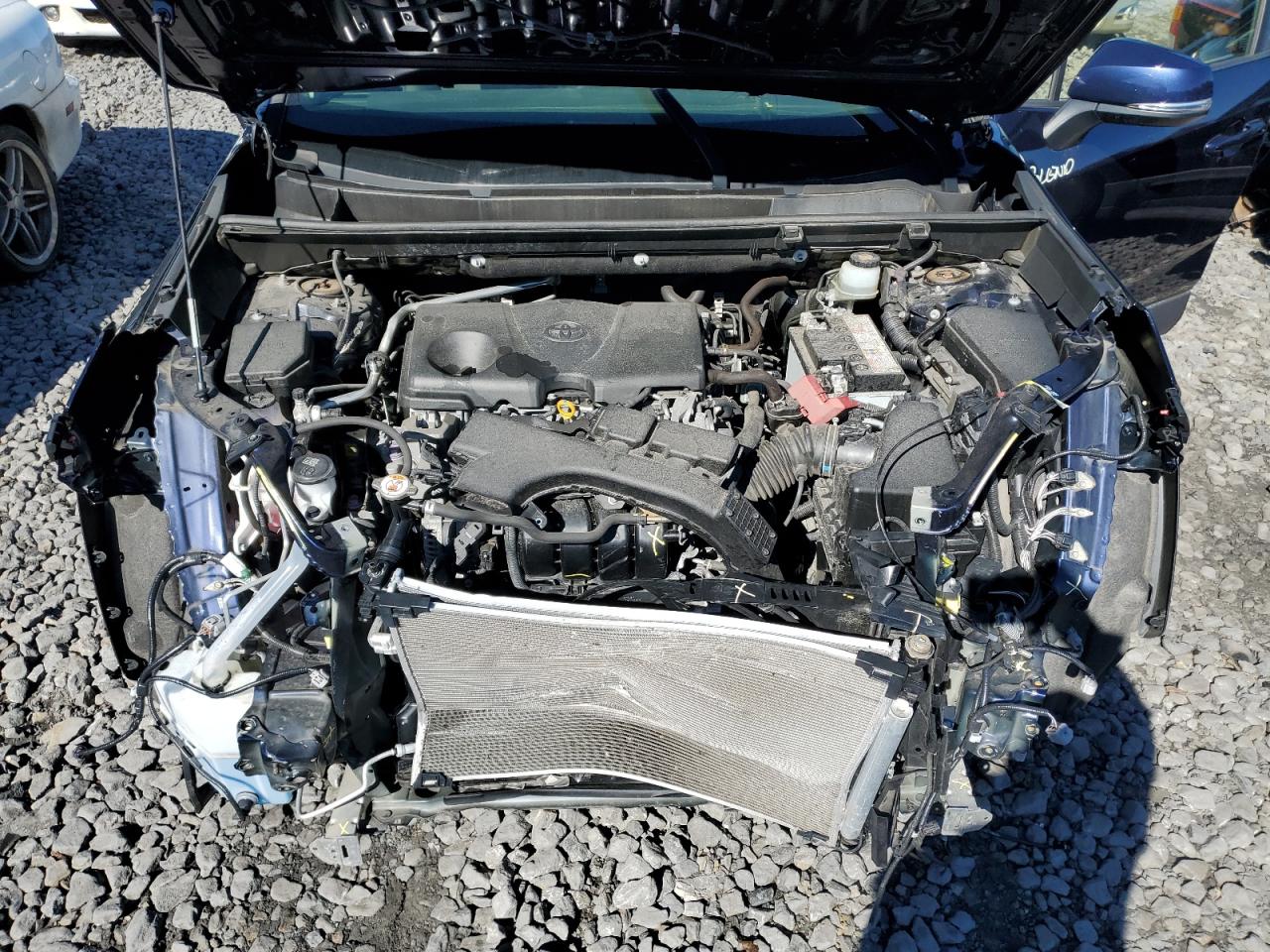 2019 Toyota Rav4 Xle Premium VIN: JTMA1RFV7KD005667 Lot: 82223105