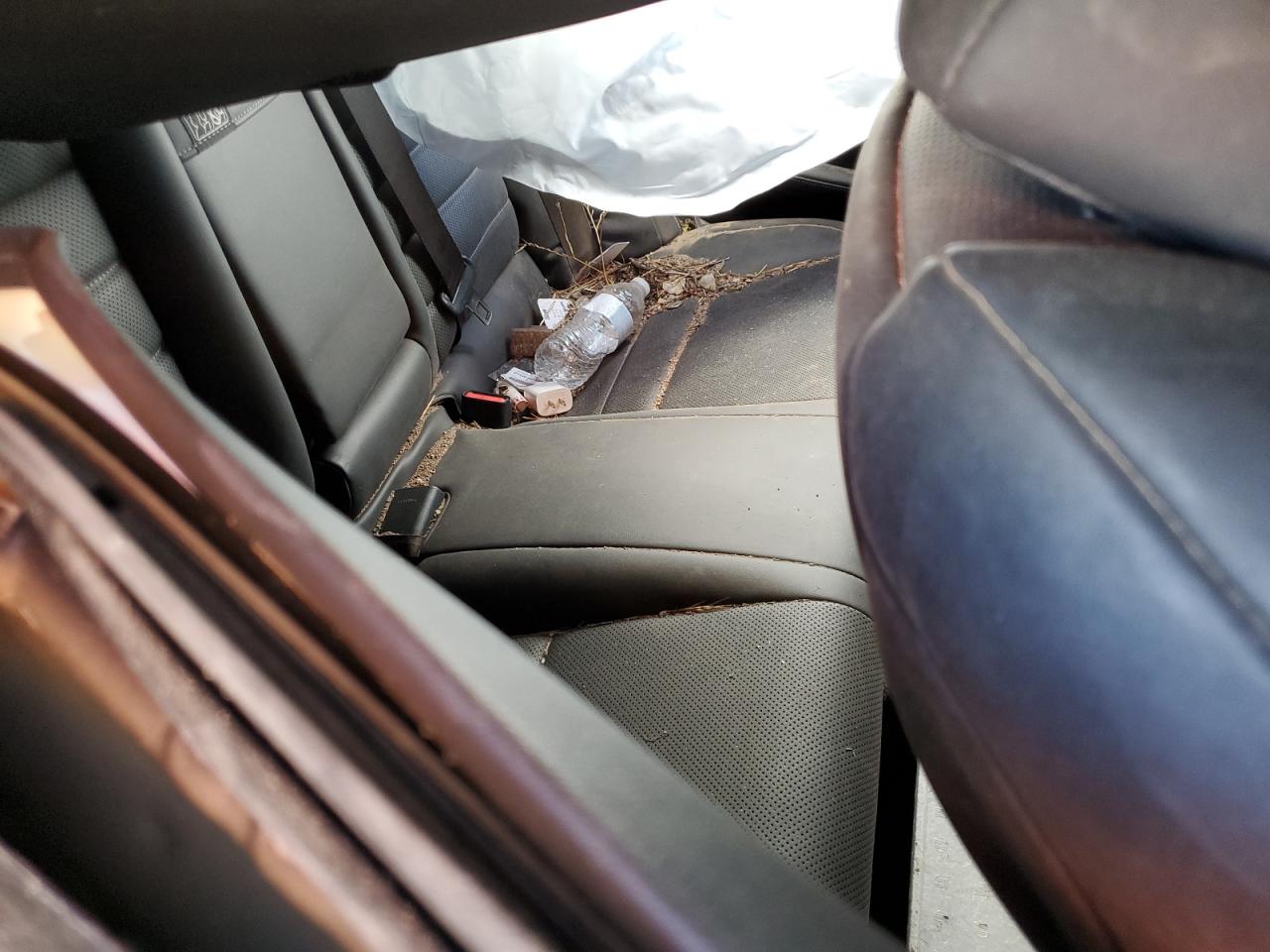 2024 Lexus Is 350 F Sport Design VIN: JTHGZ1B26R5075809 Lot: 85400475