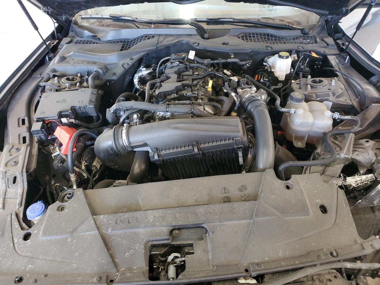 2024 Ford Mustang VIN: 1FA6P8TH3R5113551 Lot: 85170675