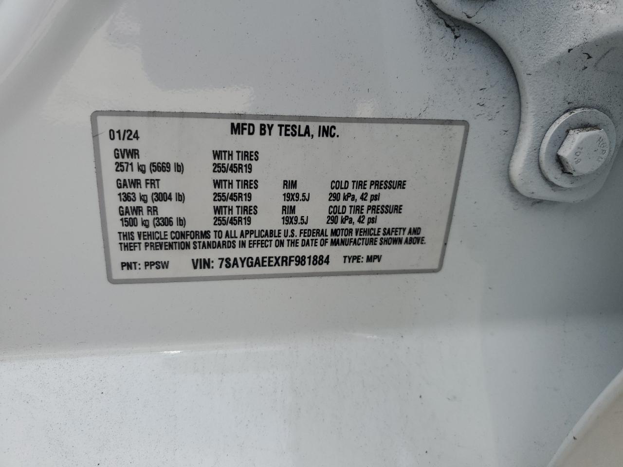 2024 Tesla Model Y VIN: 7SAYGAEEXRF981884 Lot: 82370495