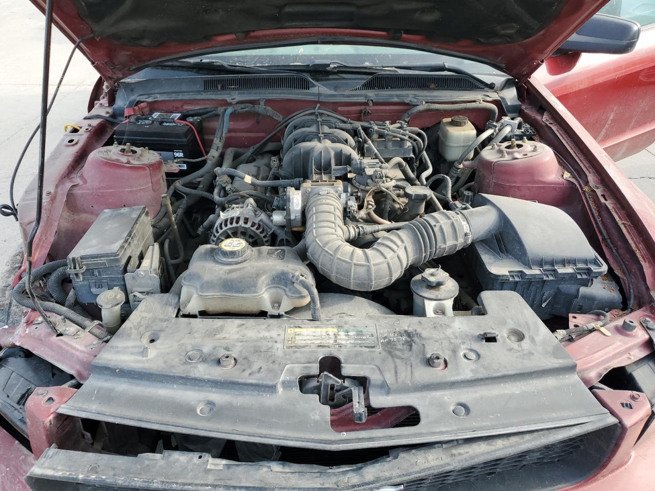 2008 Ford Mustang VIN: 1ZVHT80N385184625 Lot: 86448445