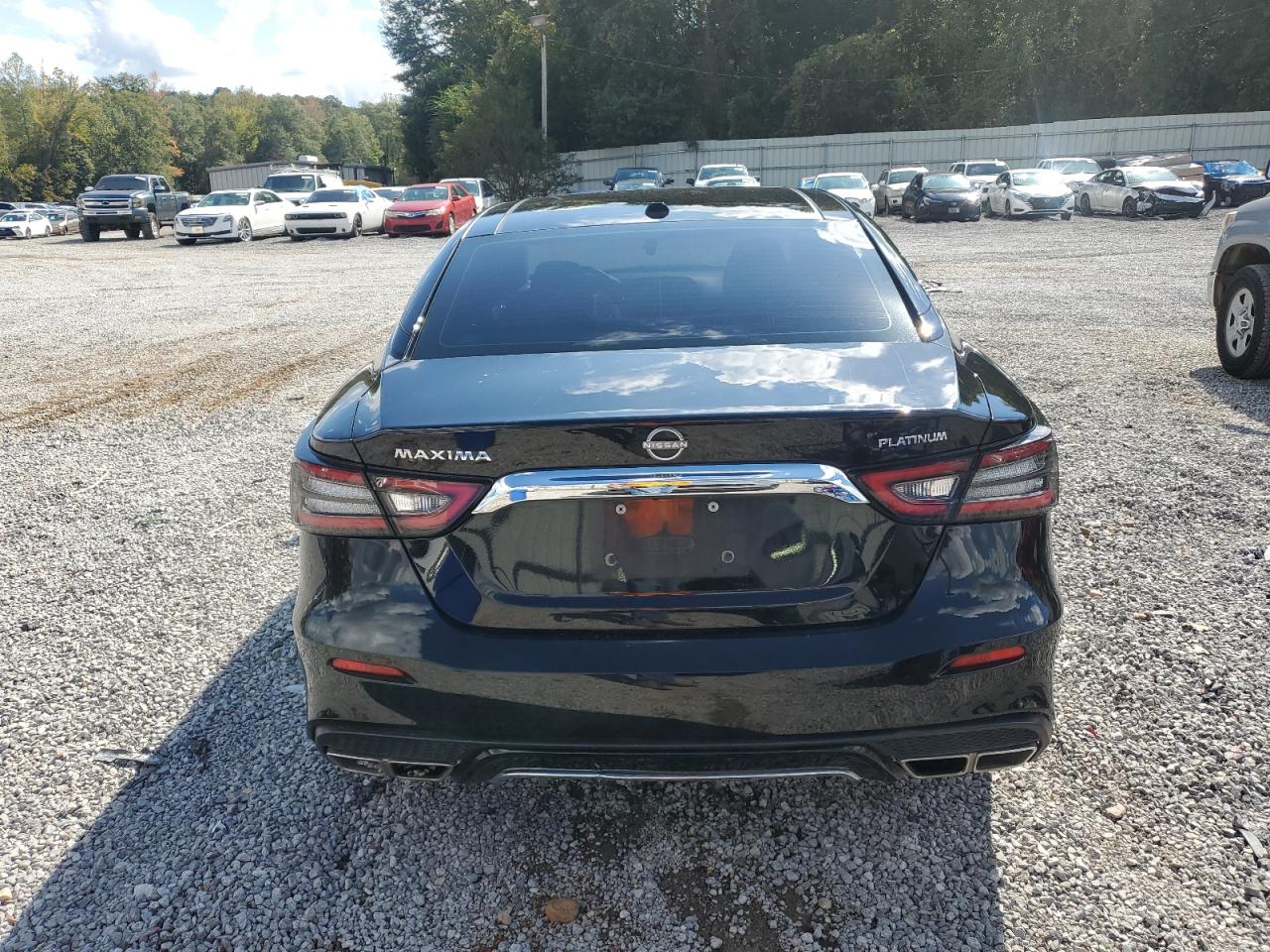 2023 Nissan Maxima Platinum VIN: 1N4AA6FV6PC507460 Lot: 82292275