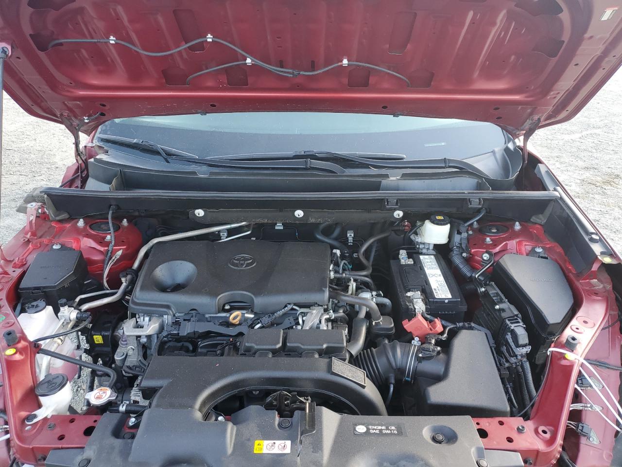 2019 Toyota Rav4 Xle VIN: 2T3P1RFV4KW024321 Lot: 85836935