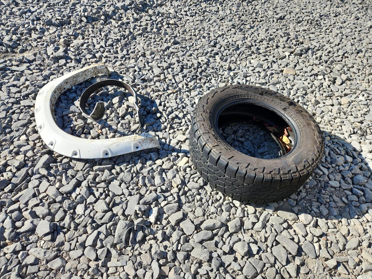 2009 Dodge Ram 1500 VIN: 1D3HV18T89S808386 Lot: 84799455