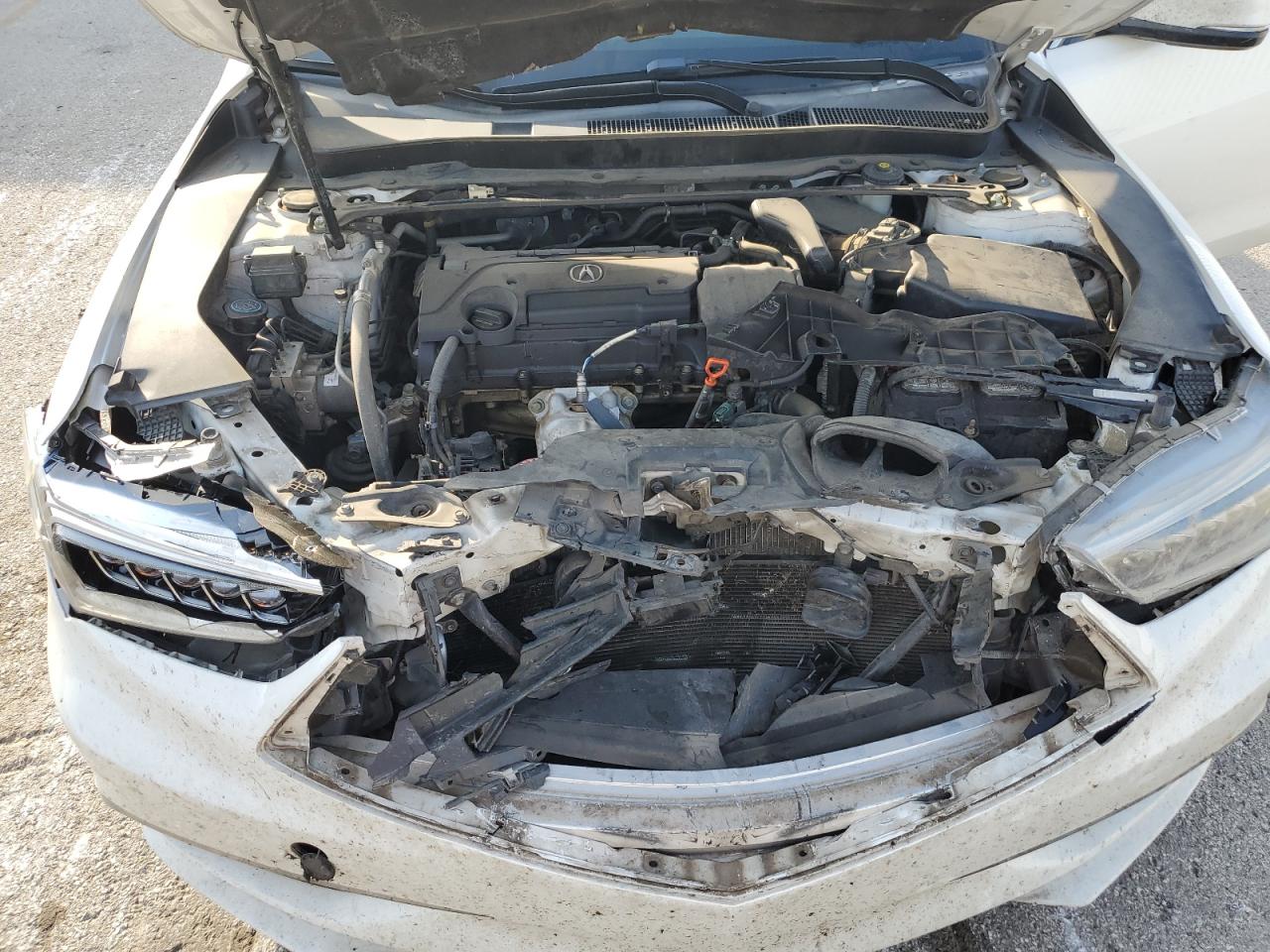 2019 Acura Tlx VIN: 19UUB1F39KA002282 Lot: 87027975