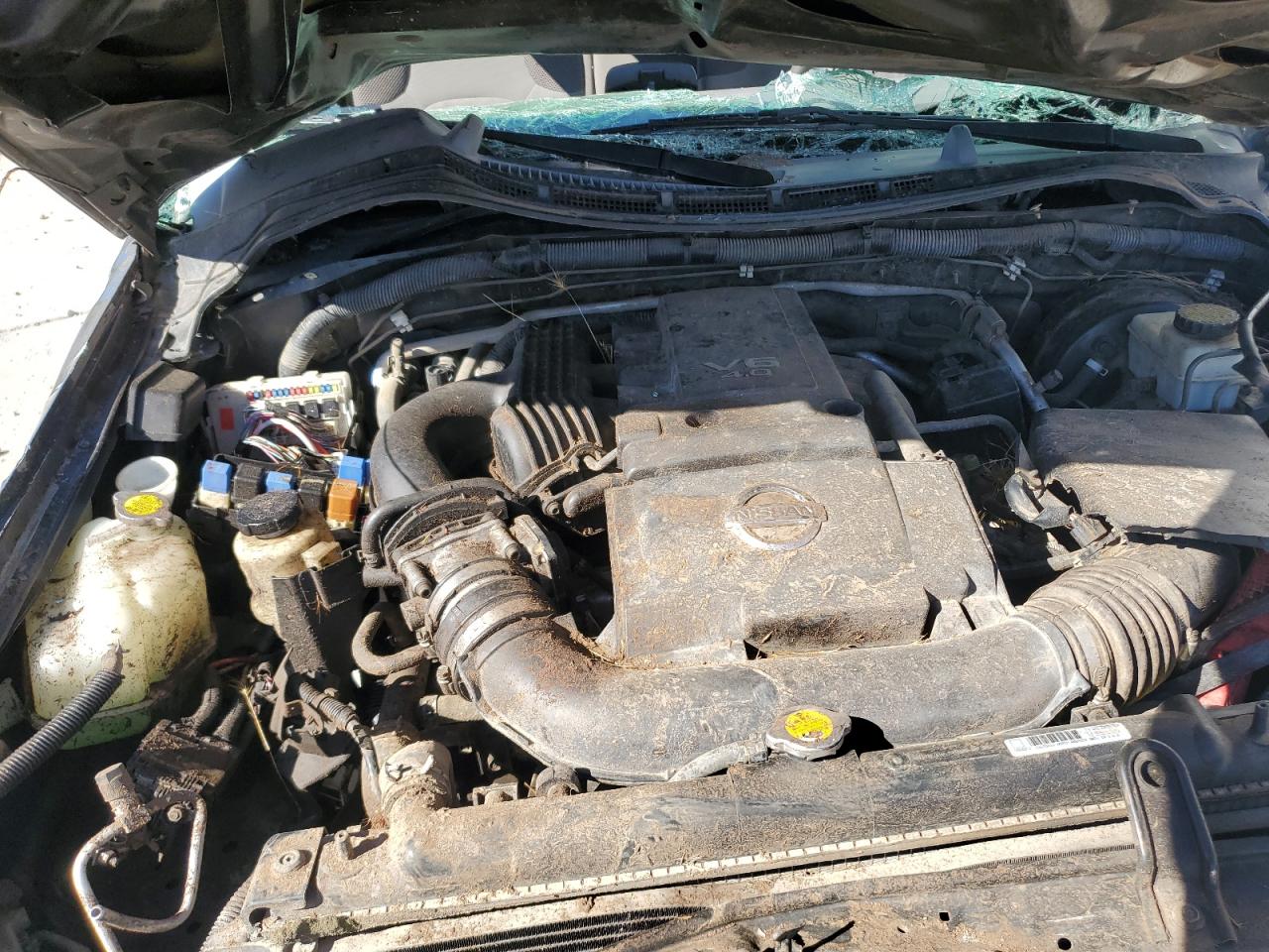 2007 Nissan Xterra Off Road VIN: 5N1AN08W97C503870 Lot: 85374075