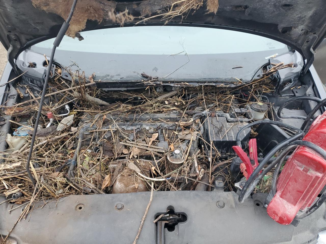 2008 Honda Civic Exl VIN: 2HGFA16918H524818 Lot: 82307665