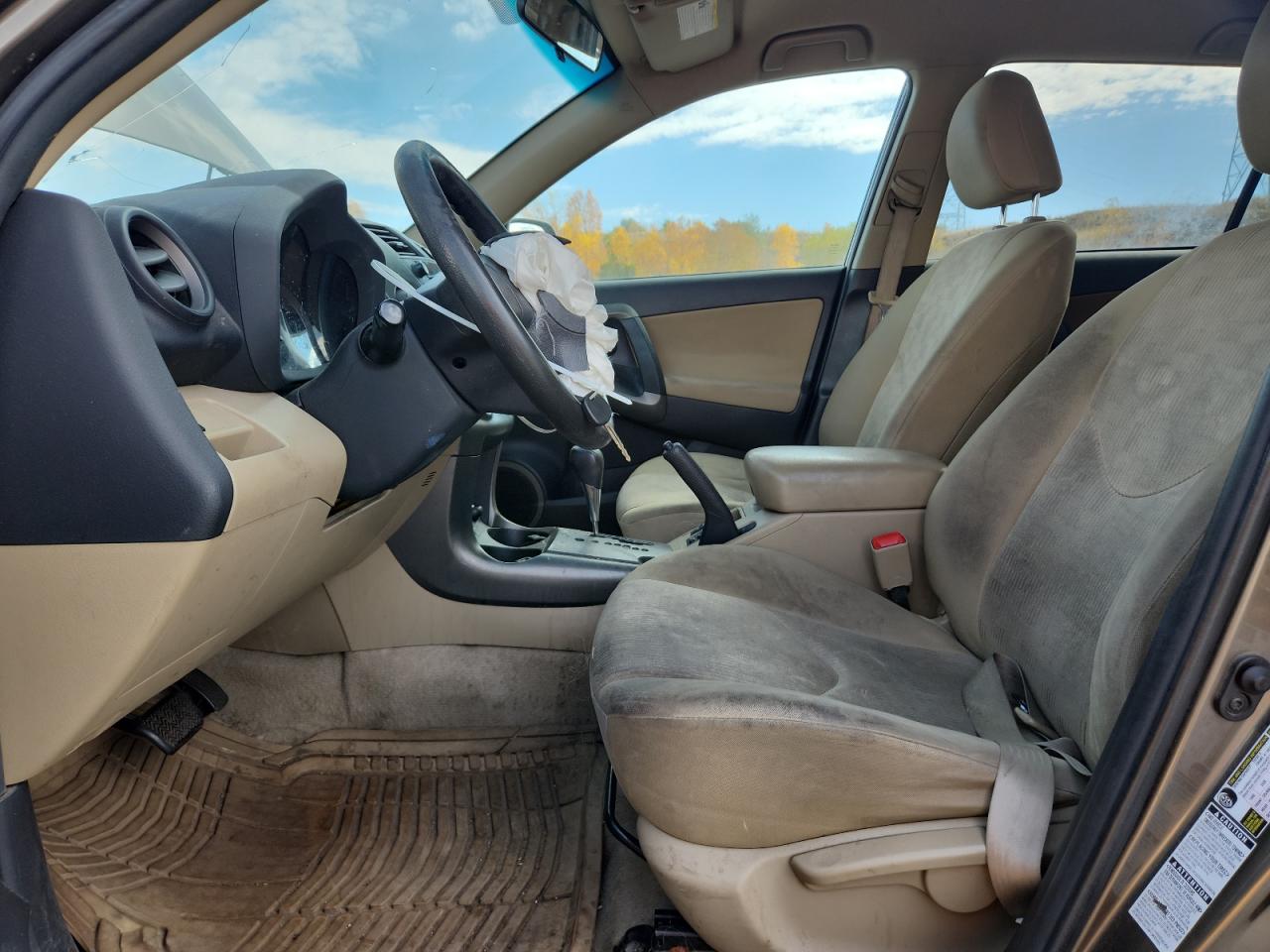 2010 Toyota Rav4 VIN: 2T3BF4DV6AW031254 Lot: 82634975