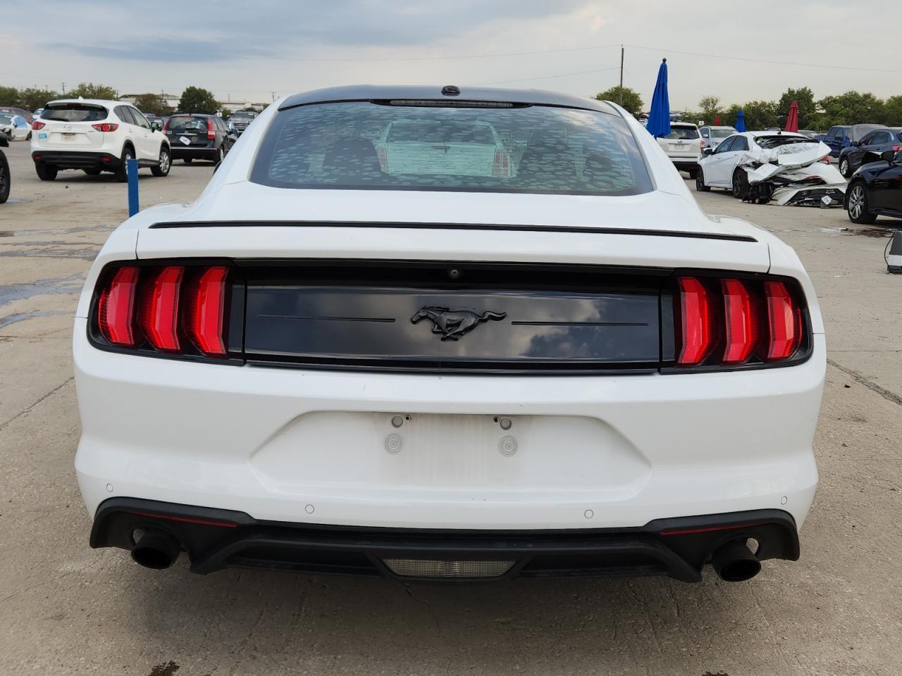 2019 Ford Mustang VIN: 1FA6P8TH8K5201534 Lot: 89562145