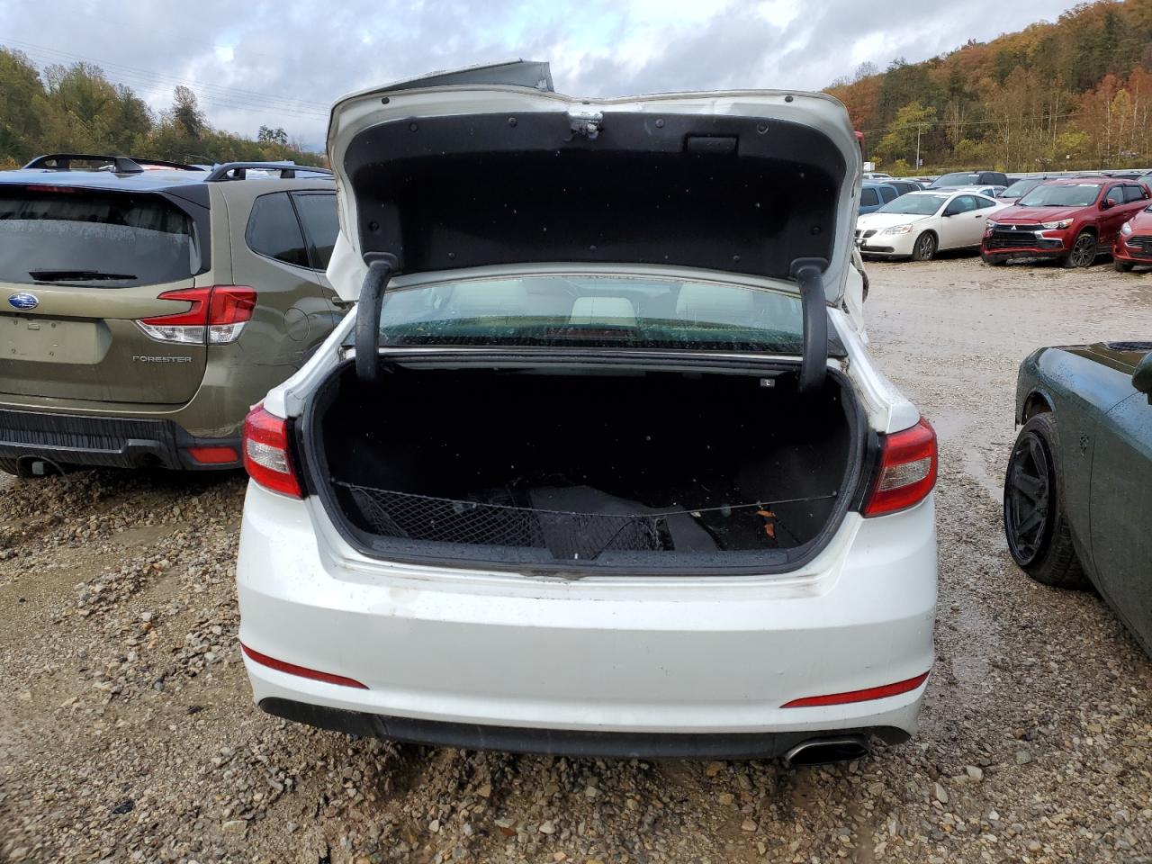 2016 Hyundai Sonata Se VIN: 5NPE24AF2GH317916 Lot: 90495805