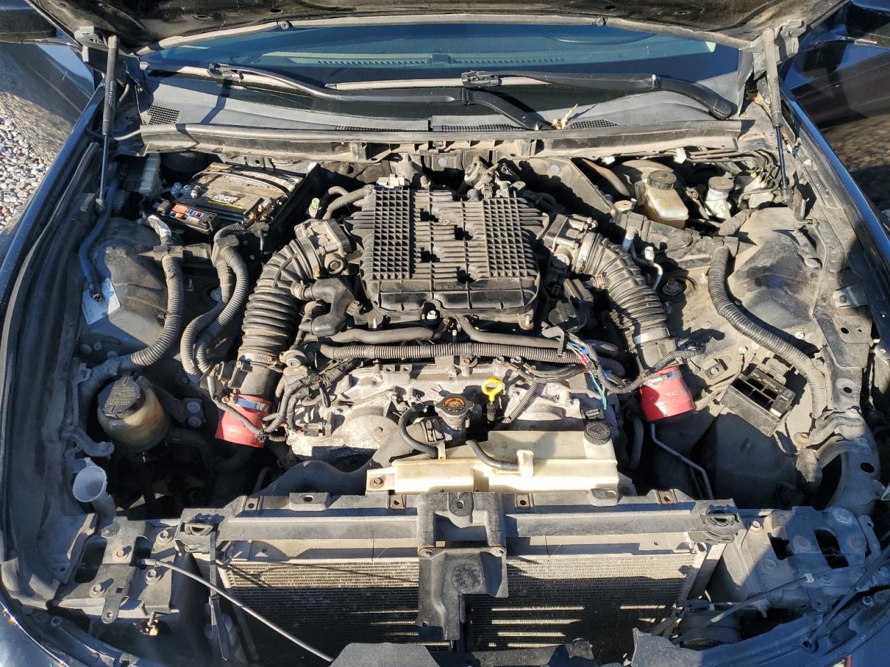 2007 Infiniti G37 Base VIN: JNKCV64E78M118430 Lot: 90650015