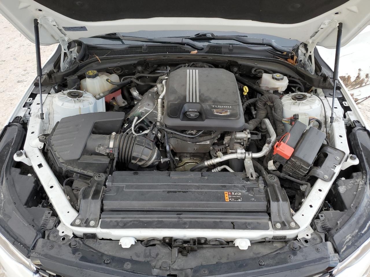 2023 Cadillac Ct4 Luxury VIN: 1G6DJ5RK2P0113560 Lot: 86881535