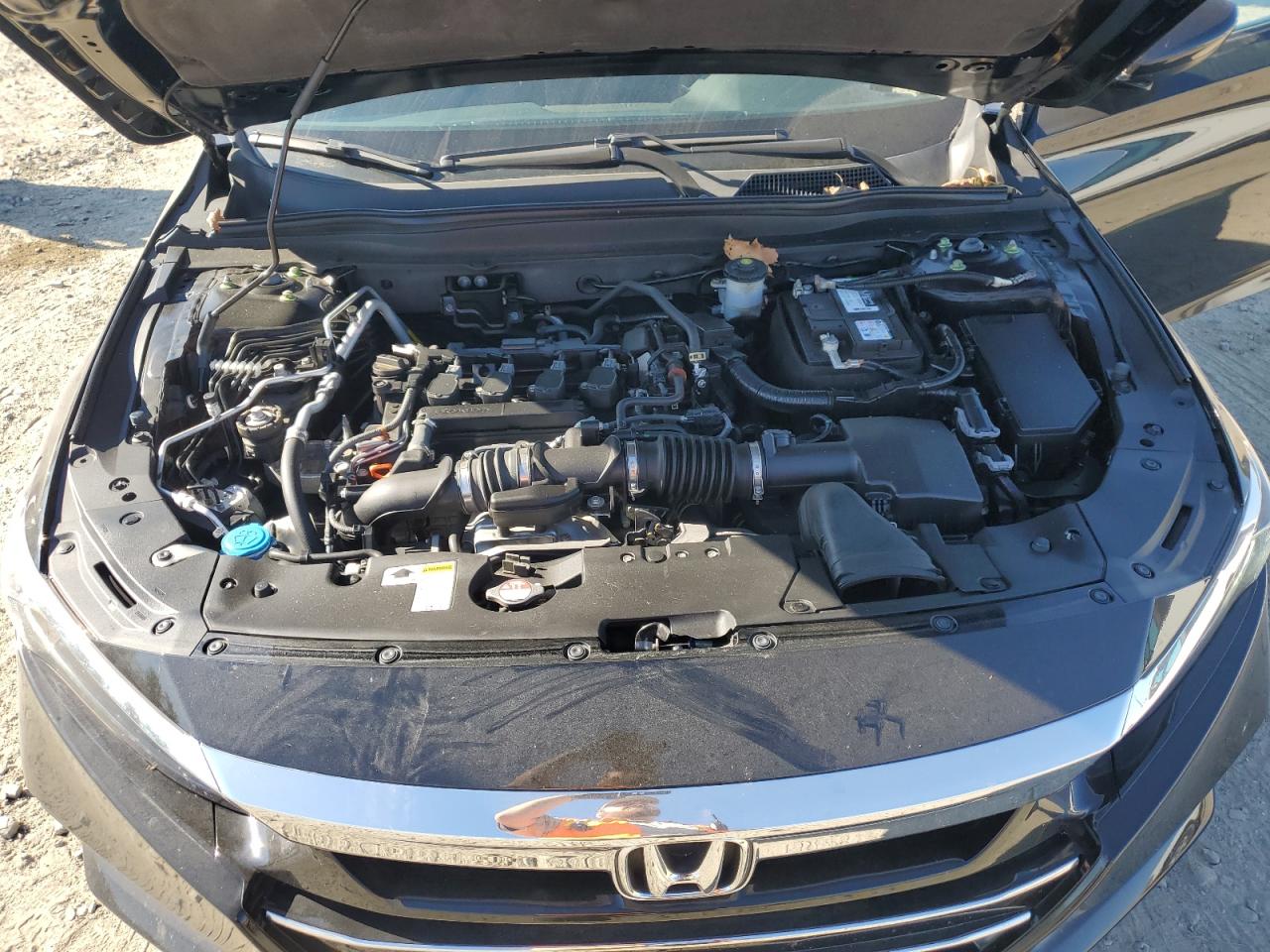 2021 Honda Accord Lx VIN: 1HGCV1F11MA038469 Lot: 84592655