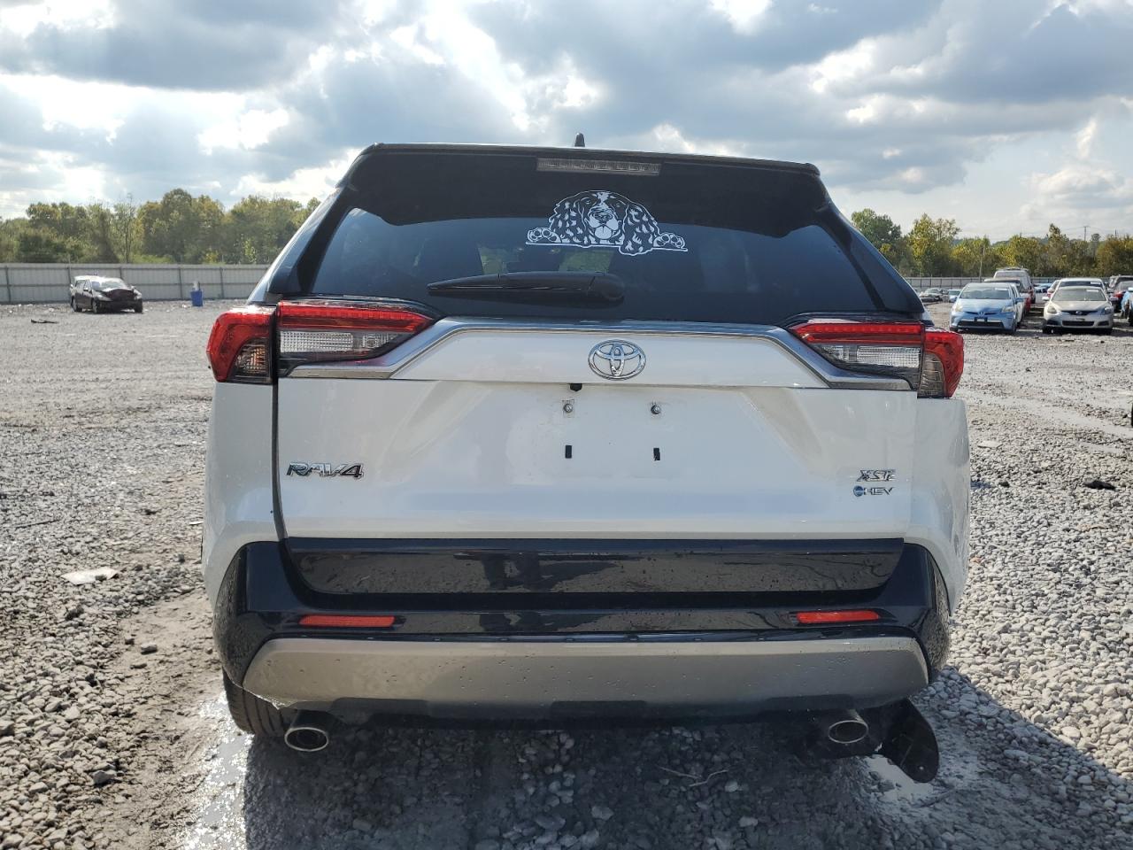 2025 Toyota Rav4 Xse VIN: JTME6RFV2SD576941 Lot: 85764855