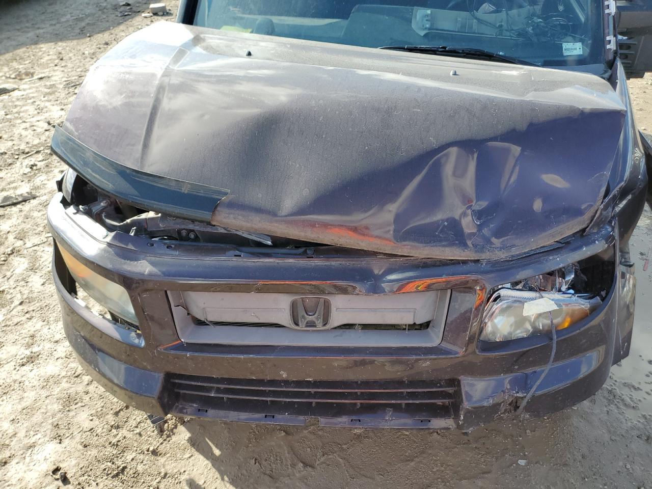 2007 Honda Element Sc VIN: 5J6YH18997L007424 Lot: 82555225