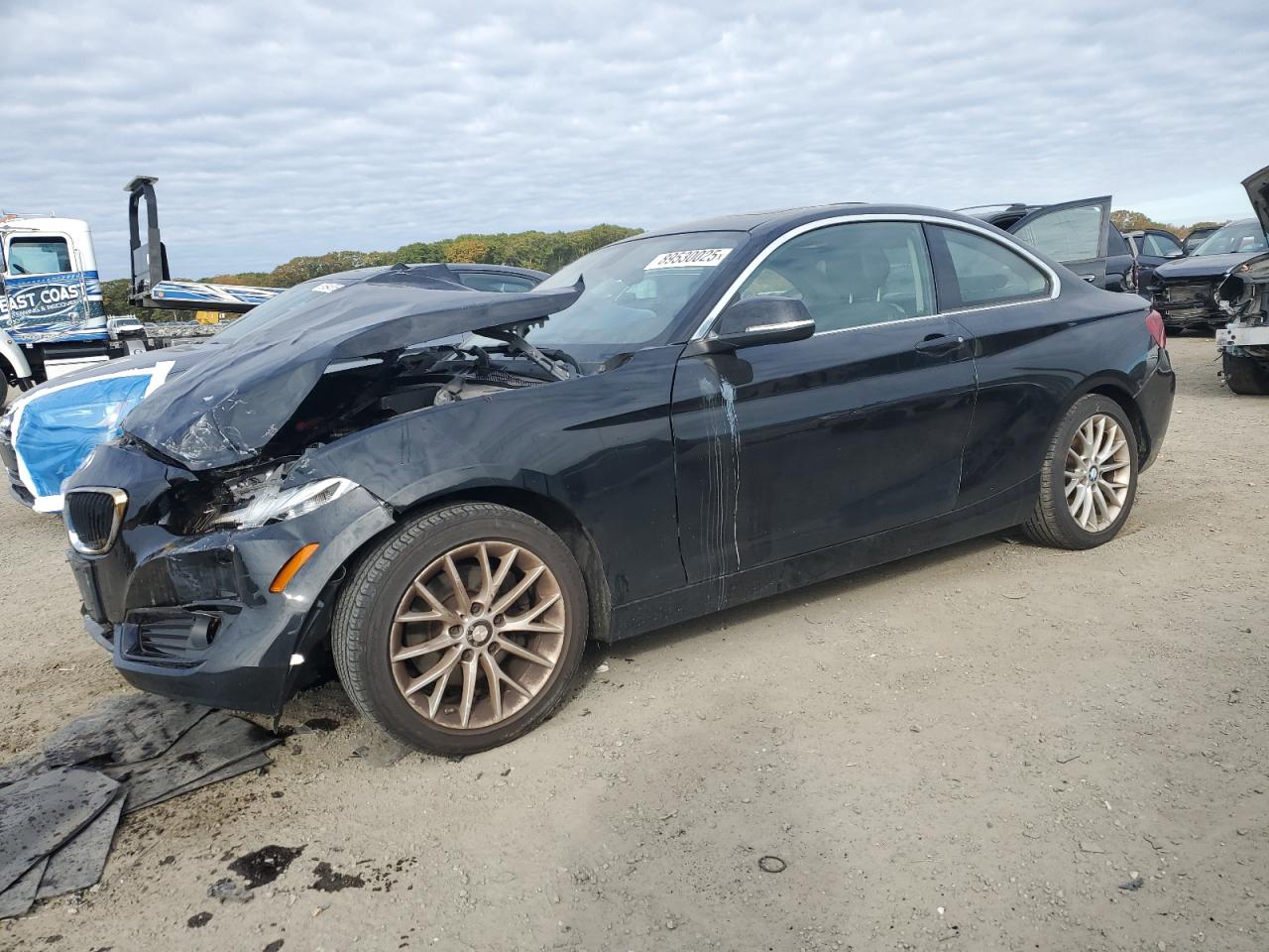 Фото: WBA1G9C58FVX96825