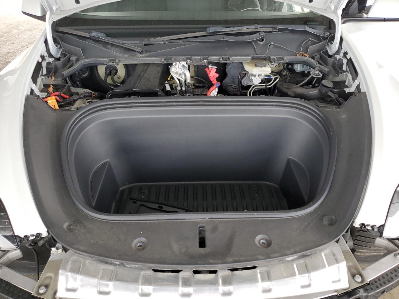 2023 Tesla Model Y VIN: 7SAYGDEEXPF619004 Lot: 82670485