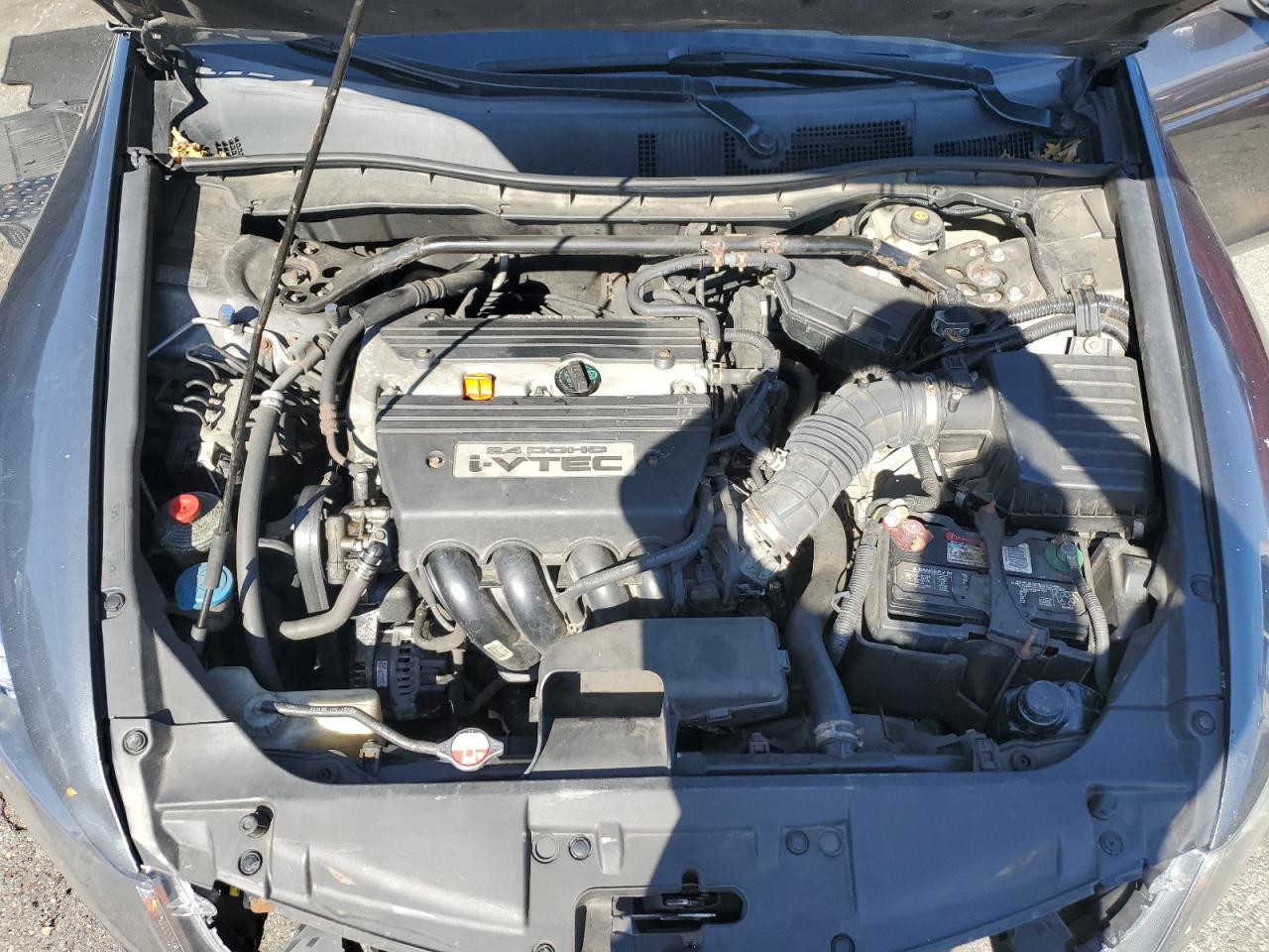 2009 Honda Accord Exl VIN: 1HGCP26829A029512 Lot: 82086825