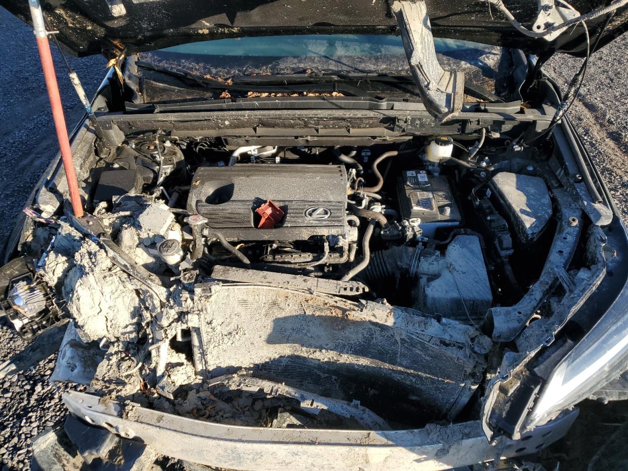 2025 Lexus Nx 250 Base VIN: 2T2ADCEZ5SC006110 Lot: 68100335