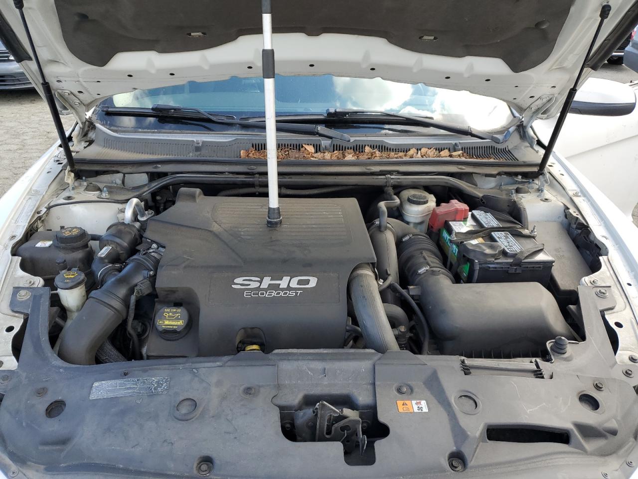 2010 Ford Taurus Sho VIN: 1FAHP2KTXAG102387 Lot: 86146115