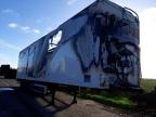 2019 TRAI TRAILER for sale at Copart WOLVERHAMPTON