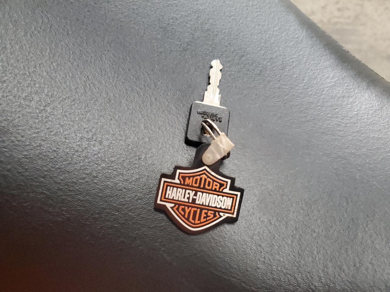 2021 Harley-Davidson Xl1200 Ns VIN: 1HD1LP319MB412466 Lot: 82683025