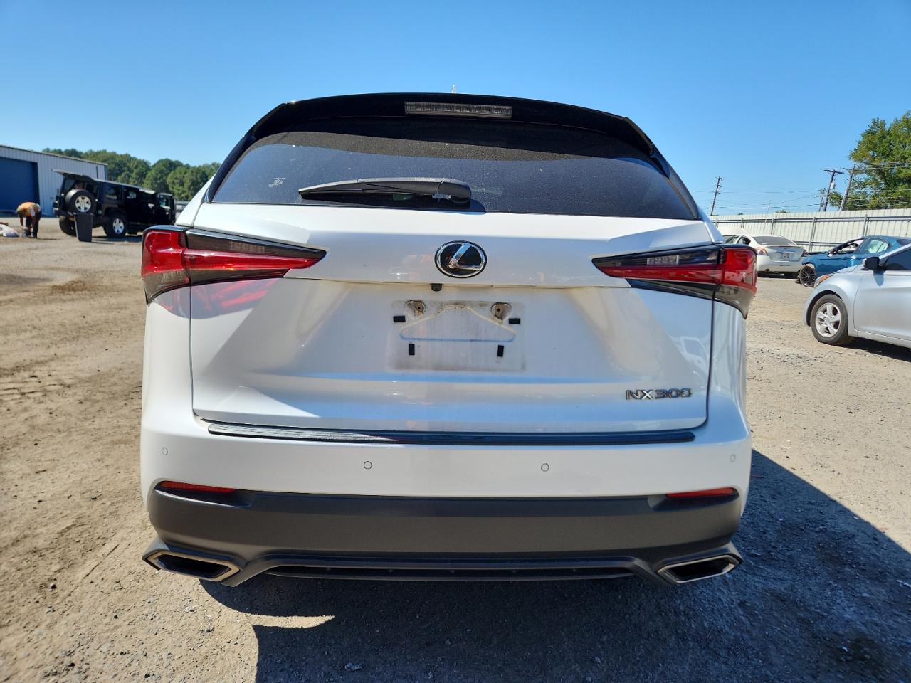 2020 Lexus Nx 300 VIN: JTJDARBZ3L2161057 Lot: 82312365
