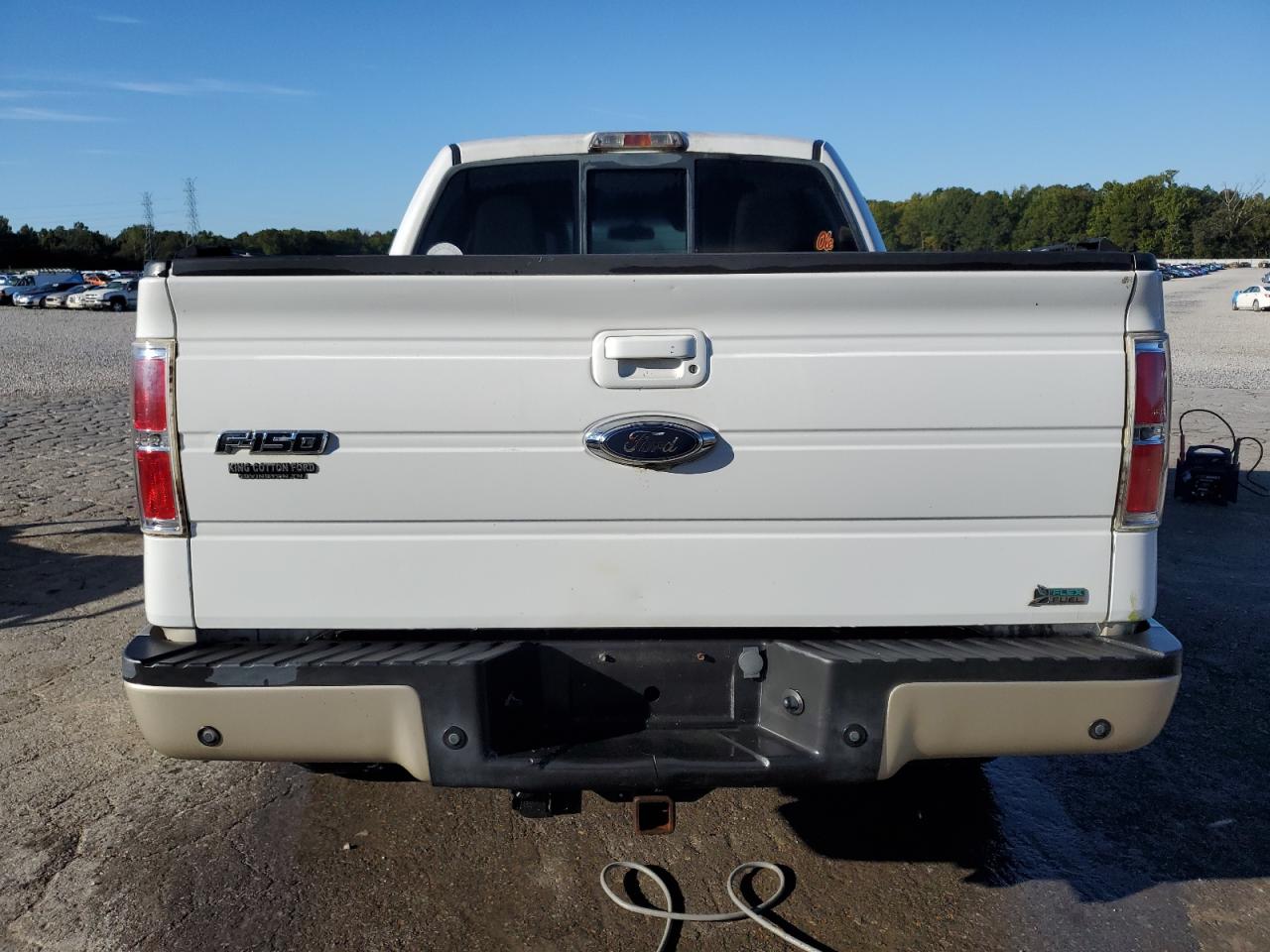 2010 Ford F150 Supercrew VIN: 1FTFW1EV0AFA21593 Lot: 82584855