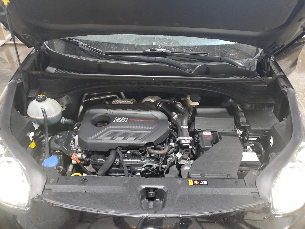 2018 Kia Sportage Sx VIN: KNDPRCA69J7384491 Lot: 86060805