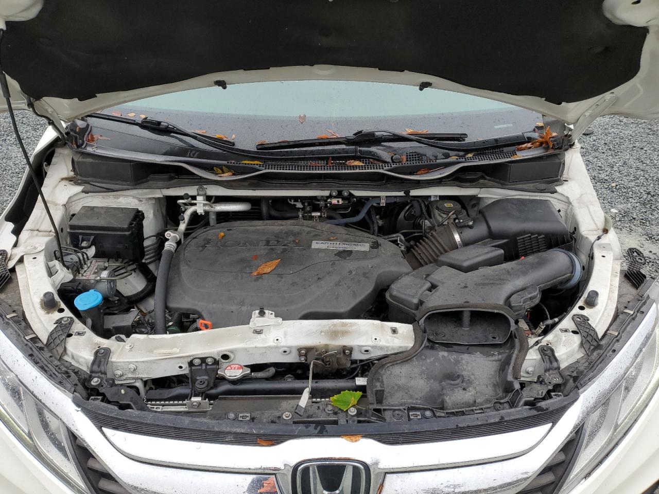 2019 Honda Odyssey Exl VIN: 5FNRL6H74KB115790 Lot: 90572475