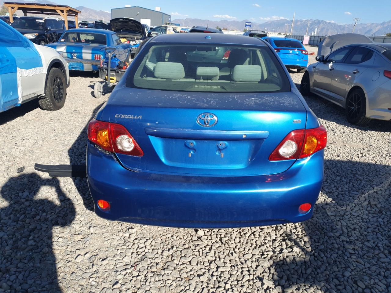 2009 Toyota Corolla Base VIN: JTDBL40E49J023307 Lot: 81948515
