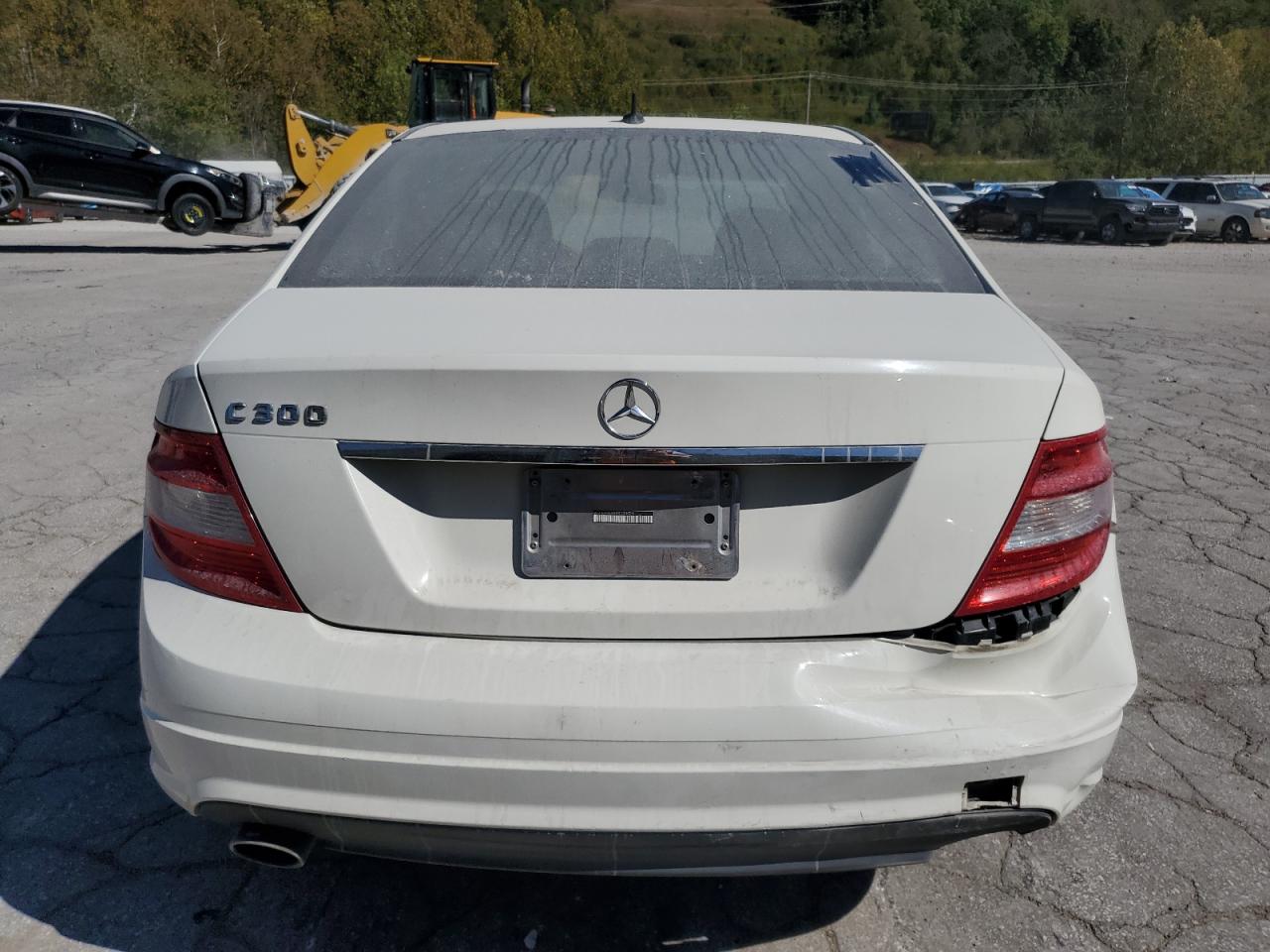2010 Mercedes-Benz C 300 VIN: WDDGF5EBXAR130620 Lot: 85757405