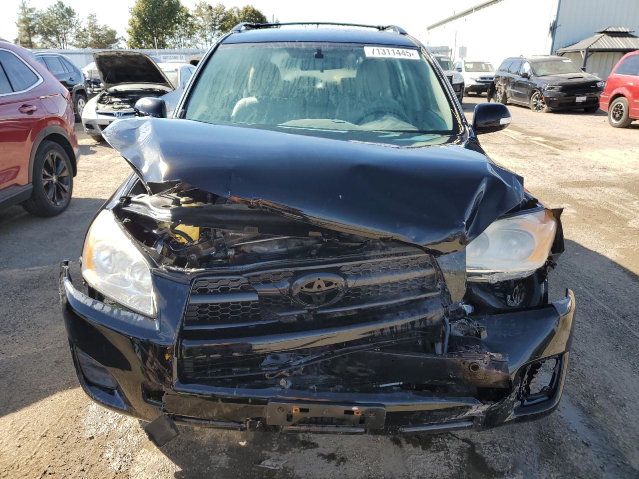 2011 Toyota Rav4 VIN: 2T3BF4DV8BW143863 Lot: 71311445