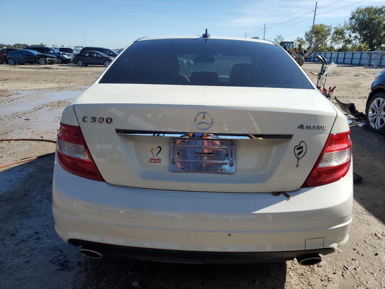 2010 Mercedes-Benz C 300 4Matic VIN: WDDGF8BB6AF443686 Lot: 78200393