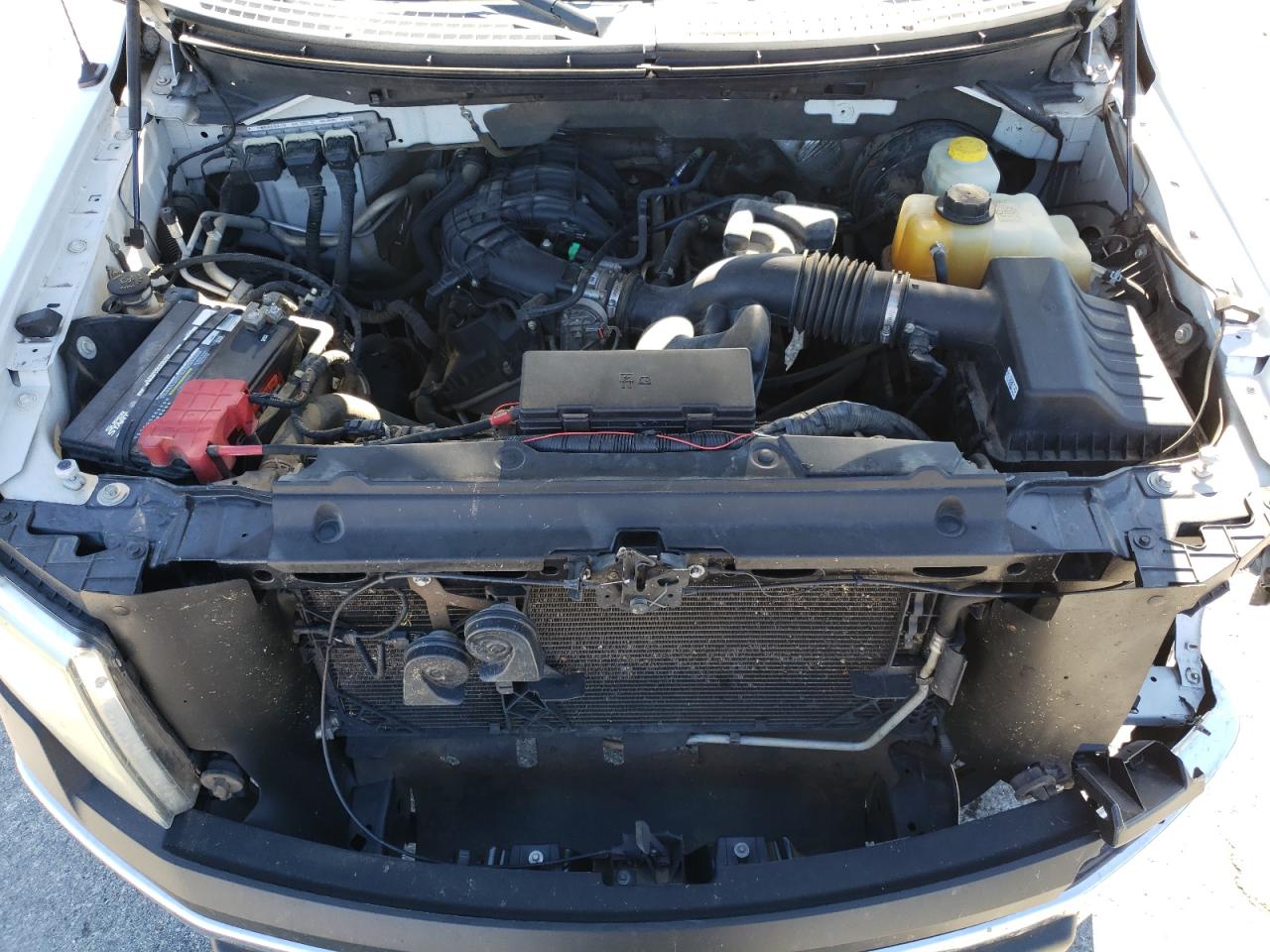 2014 Ford F150 VIN: 1FTMF1CM5EKF77719 Lot: 74646383