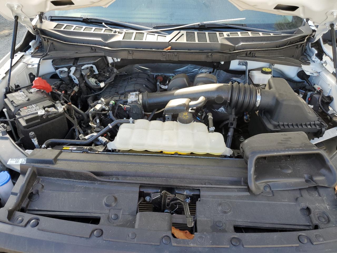 2023 Ford F150 Super Cab VIN: 1FTEX1CB0PKD08207 Lot: 74733333