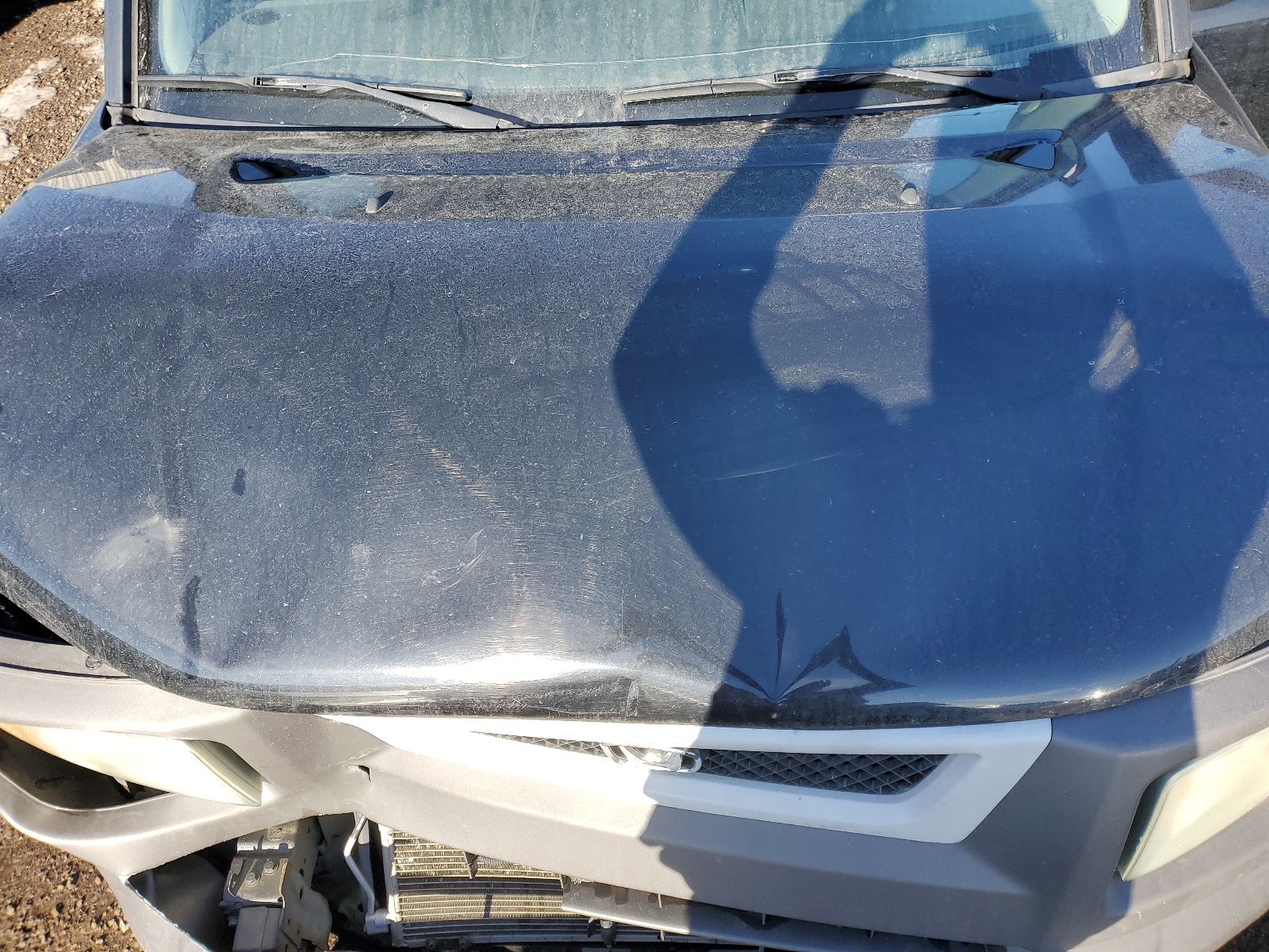 5J6YH28564L800680 2004 Honda Element Ex