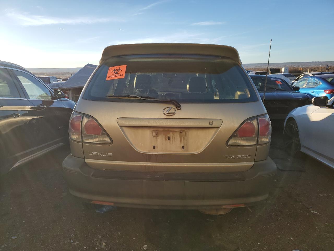 2001 Lexus Rx 300 VIN: JTJGF10U910111506 Lot: 48600634
