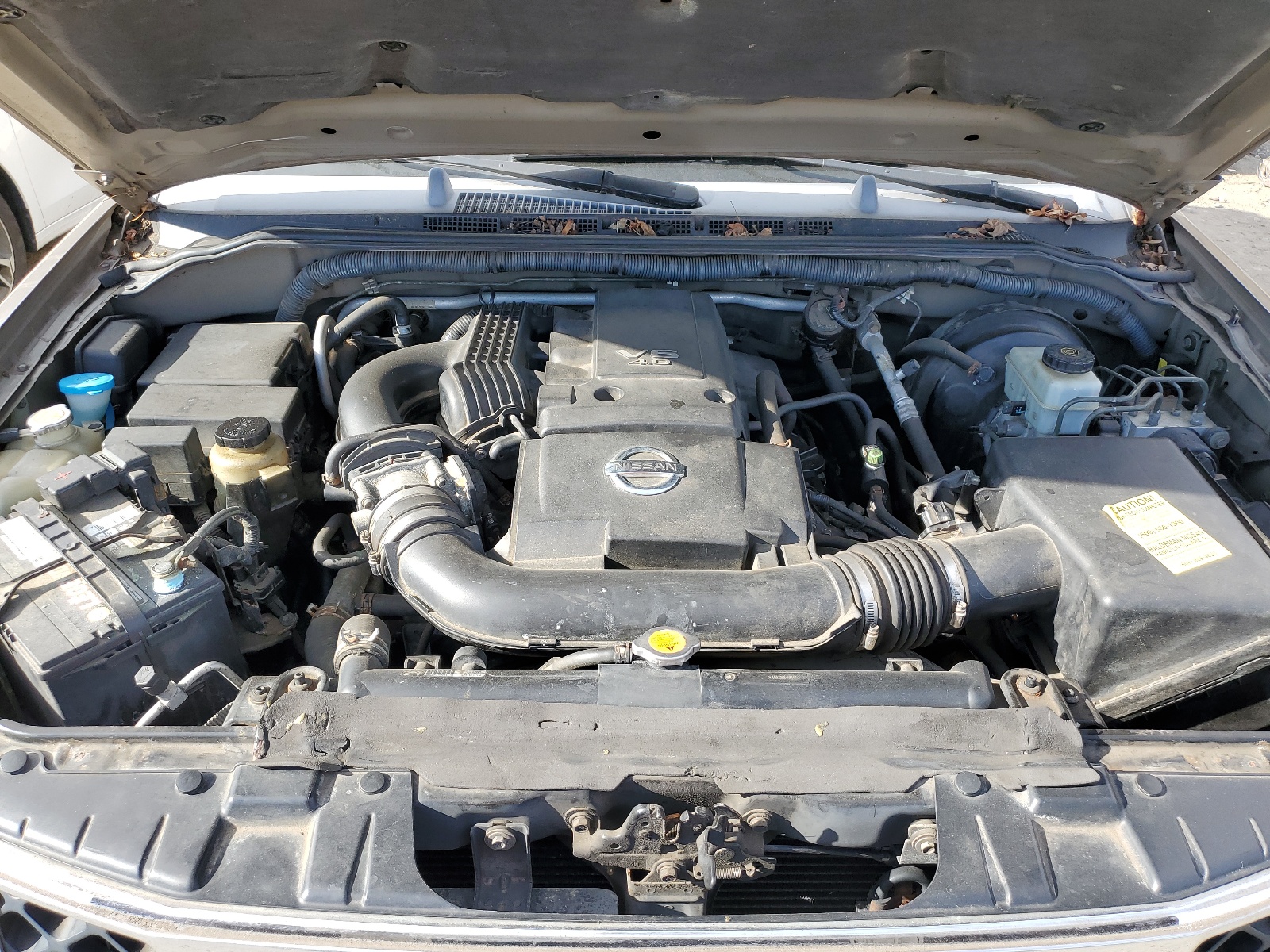 5N1AR18W65C730828 2005 Nissan Pathfinder Le