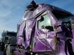 2023 Freightliner Cascadia 126  for Sale in Greenwood, NE - Rollover