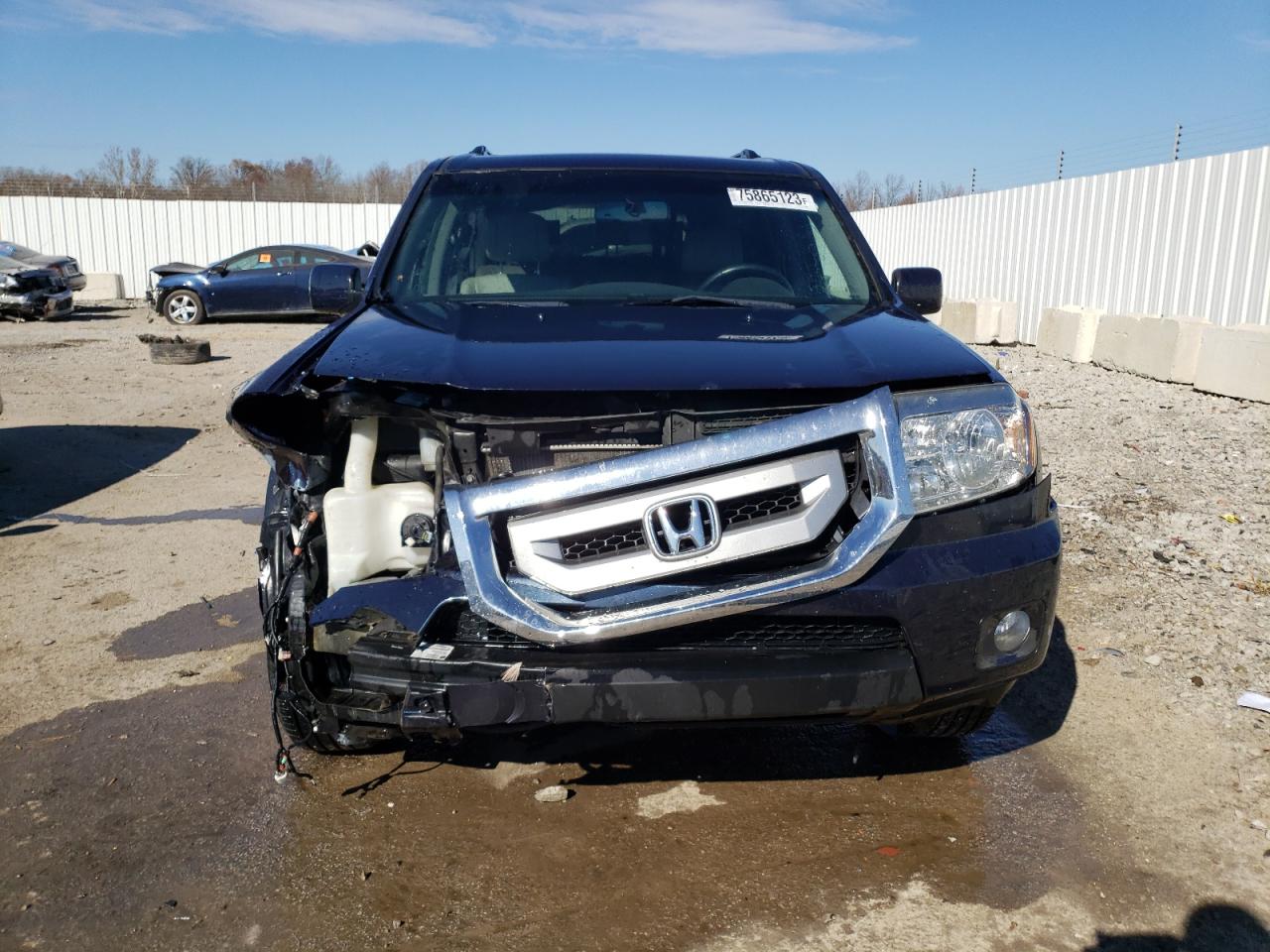 2010 Honda Pilot Exl VIN: 5FNYF4H55AB030042 Lot: 75865123