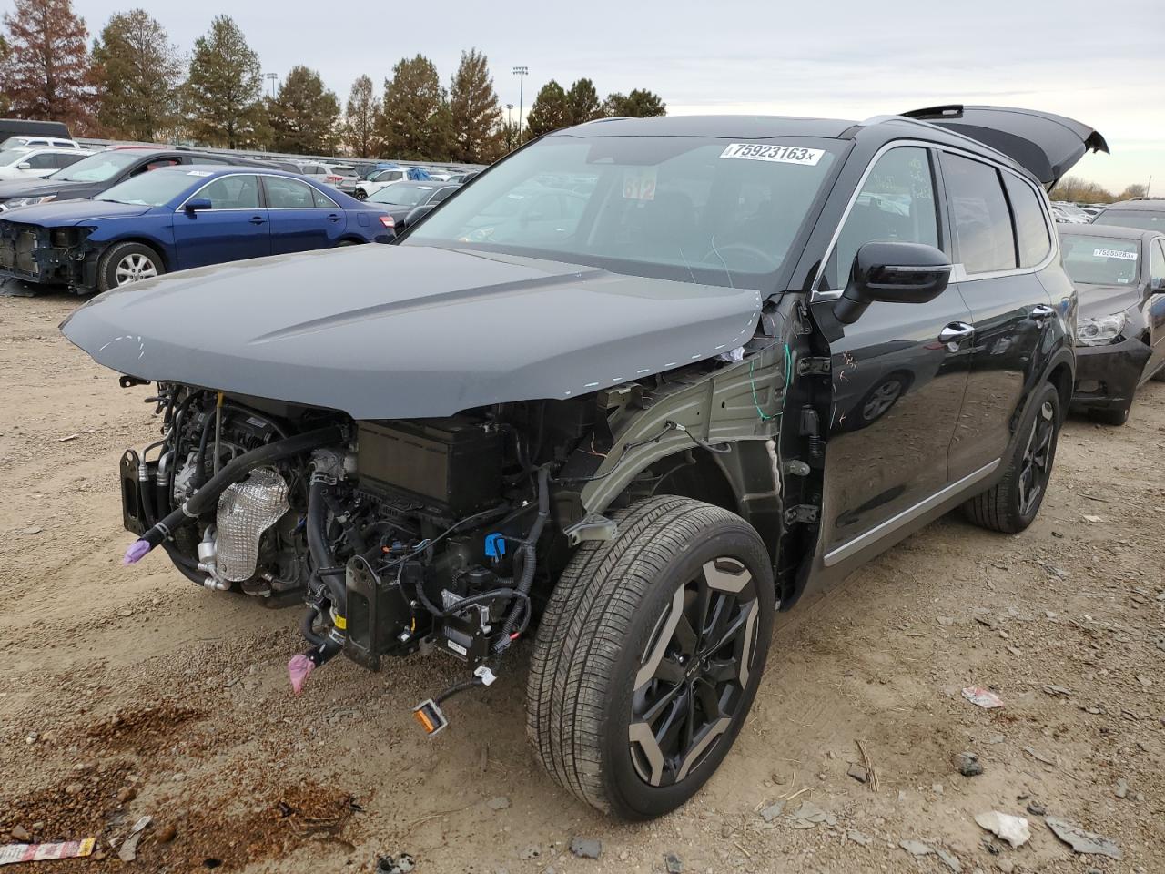 2023 Kia Telluride S VIN: 5XYP6DGC6PG341511 Lot: 75923163